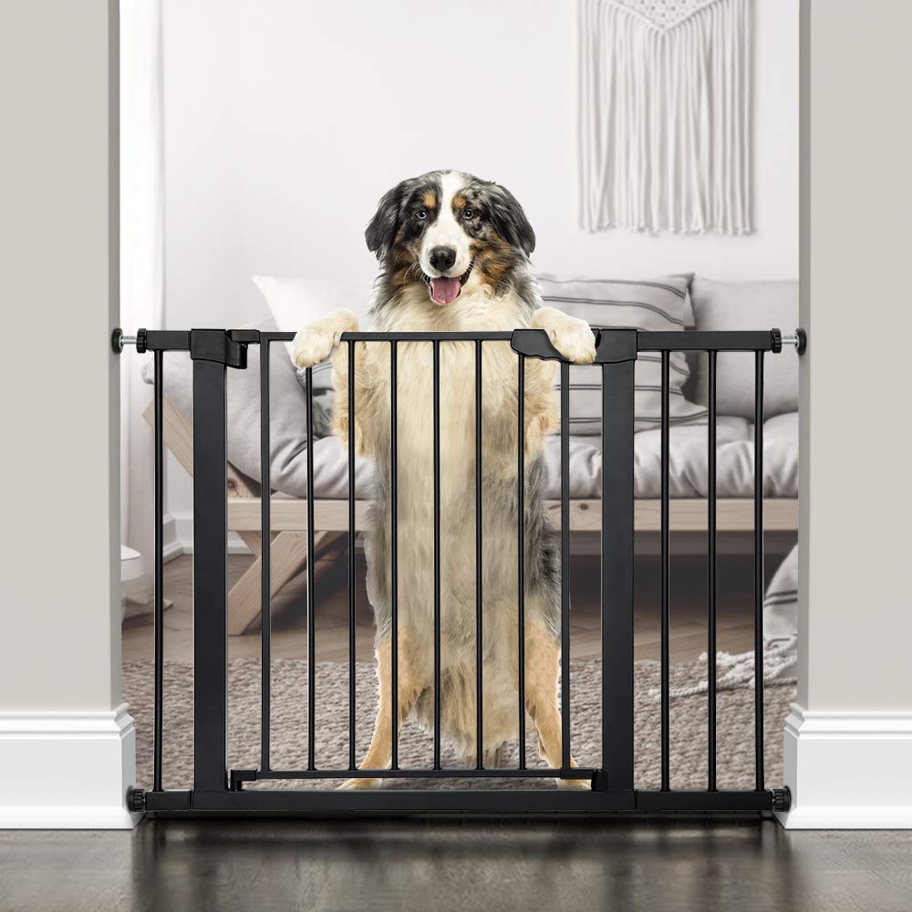 pressure pet gates